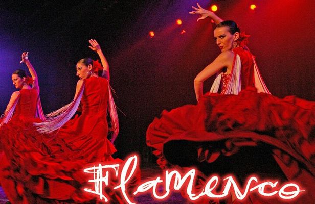 Flamenco Show at the Coliseo theater in San Miguel