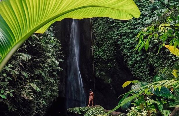 Bali : Northern Bali Private Day Trip with Transfer