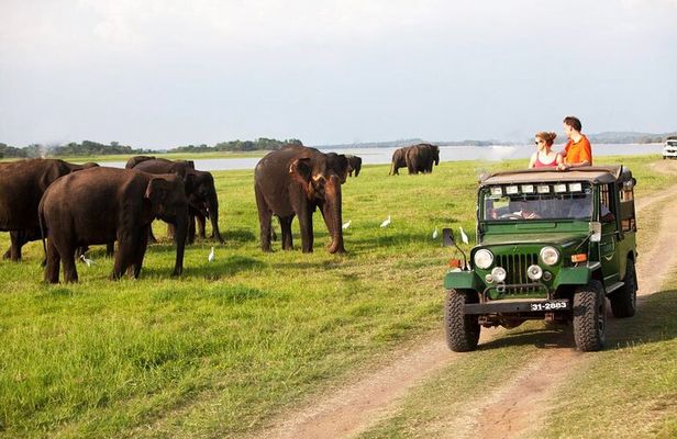Sigiriya Rock and Jeep Safari Private Tour from Trincomalee