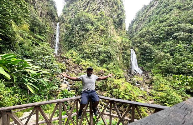 Scenic Tour of City and Rainforest, Waterfall, Sulphur Springs .