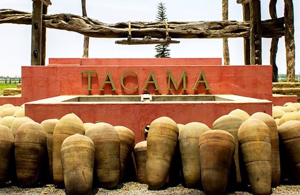 Ica : Wine & Pisco Tasting Tour - Wineward near Huacachina