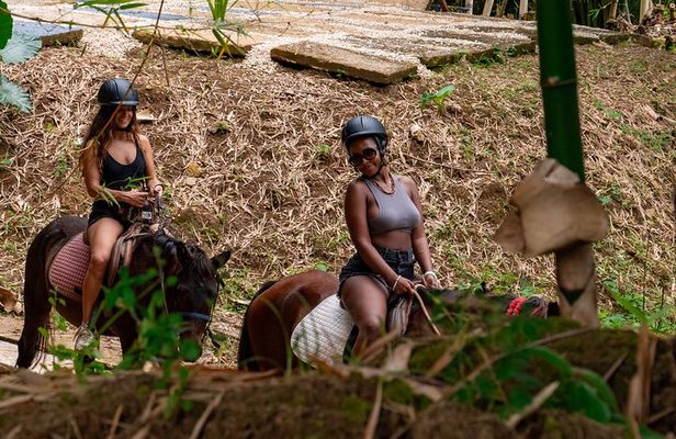 Bambuza ATV, Zipline and Horseback Adventure from Negril