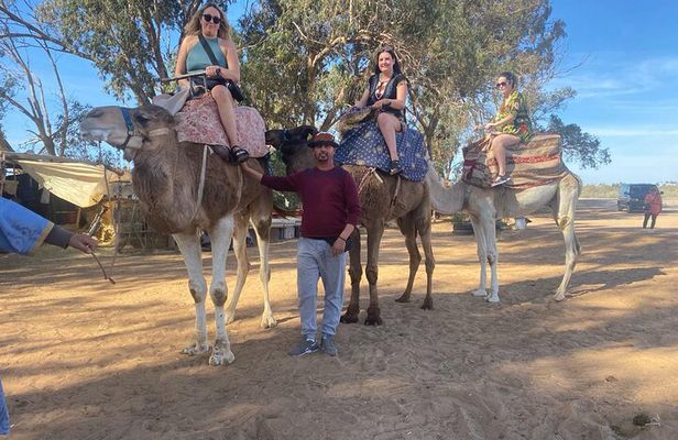 Camel Ride and Barbecue Tour in Agadir