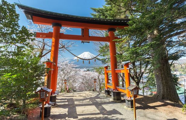 Mount Fuji Sightseeing Private tour w English speaking chauffeur