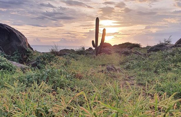 Private Sunrise Tour to Natural Pool Arikok Park + Transportation