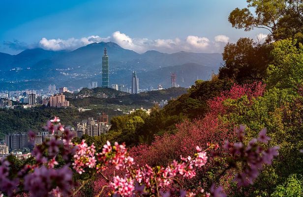 Private Tour: Taipei Timeless Treasures Tour (The Best of Taipei)