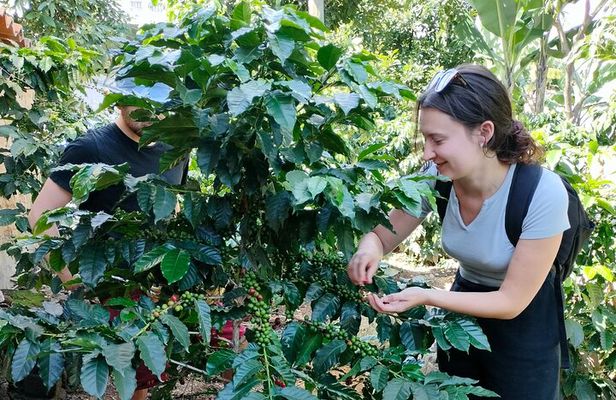 Coffee Tour in Lake Atitlán
