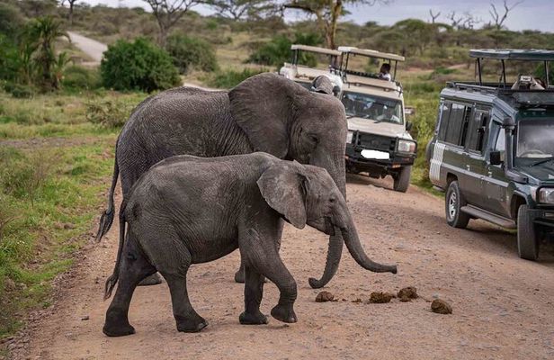 4-Day Amboseli National Park Safari on 4x4 Landcruiser Jeep