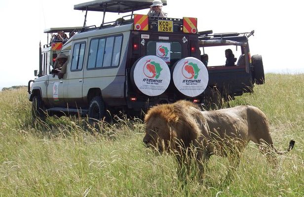 3 Days 8th Wonder Of The World with Maasai Mara Great Tour