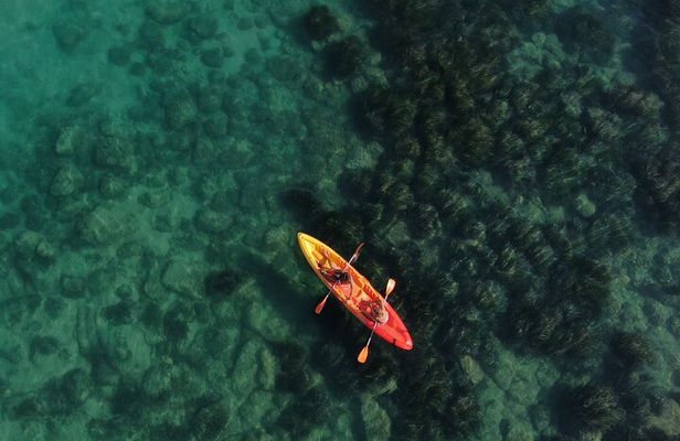 WWF Kayak Tour from Cala Manbrù to Torre Salsa Reserve