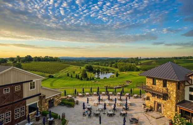 Luxury Wine Tour in Washington DC to Loudoun County Vineyards