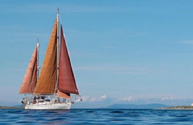 Sailing Charter