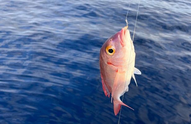 Traditional Fishing Experience in Zakynthos