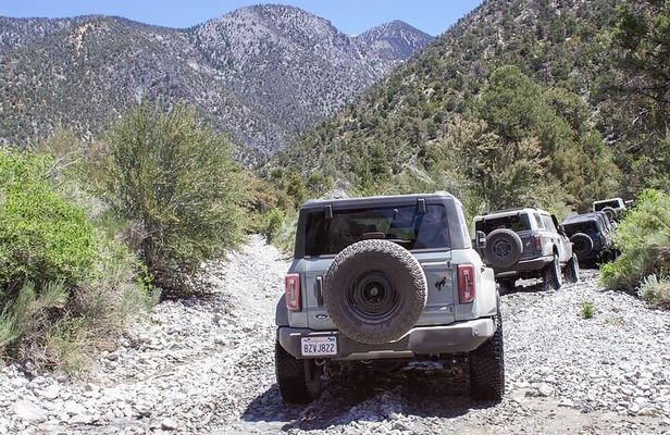 Las Vegas Guided Off-Road Adventure to Callville Wash