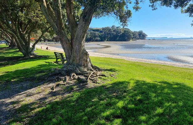 Auckland Town and Country Delights Tour