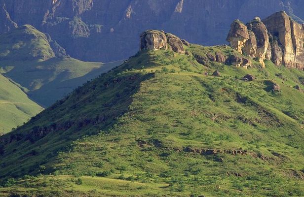 Tala Game reserve, Natal lion Park and Phezulu from Durban Tour