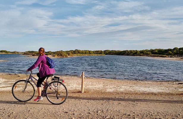 Albufera Highlights Loop Bike Tour with Boat Trip & Paella