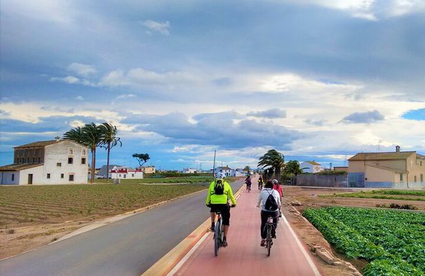 Cycling Private Tour in the Little Venice and Sagunto Castle