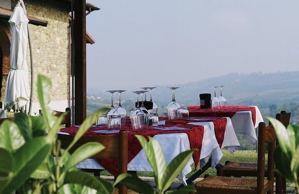 Visit winery and vineyards, tasting 4 wines with 3 matching dishes