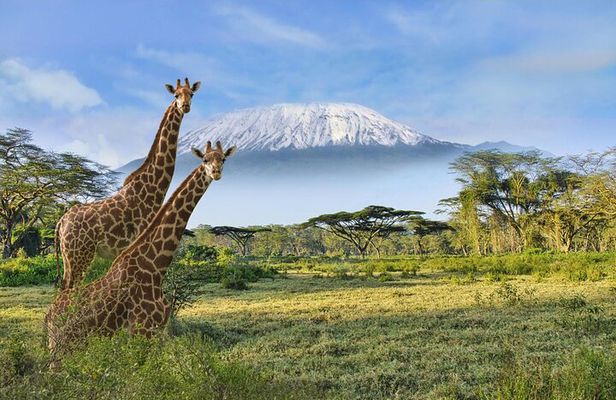 3 Day Amboseli Kenya Safari Tour with African Gift