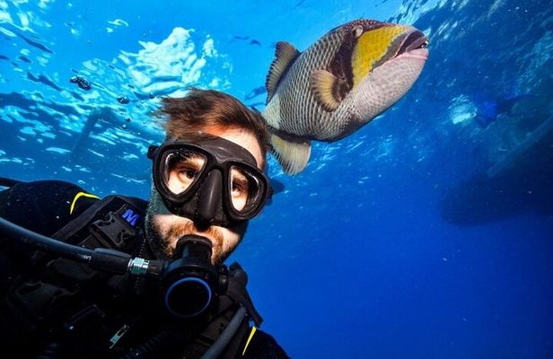 Sharm El Sheikh: Ras Mohamed, White Island, Snorkel and Diving