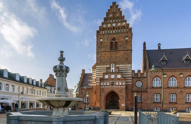 Half Day Private Tour to Vikings City Roskilde from Copenhagen