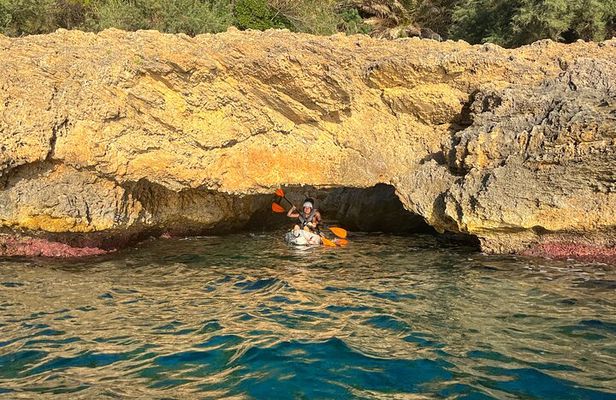 Alcudia: Guided Sea Kayaking & snorkelling Tour (day & sunset) 