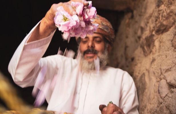 Oman Damasks Rose Tour