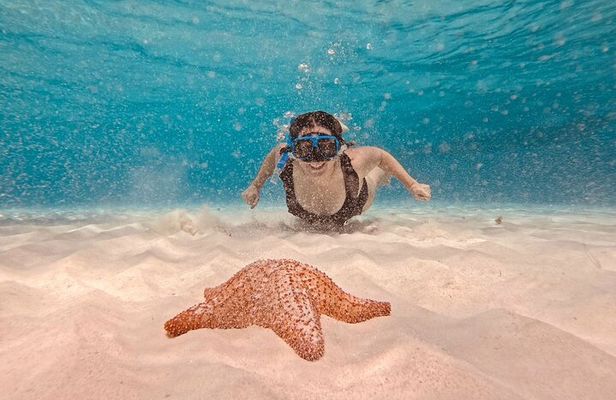 Cozumel Snorkeling to Palancar & El Cielo with drinks & Snack