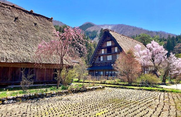 Shirakawa-go and Hida-Takayama Private Day Trip from Nagoya