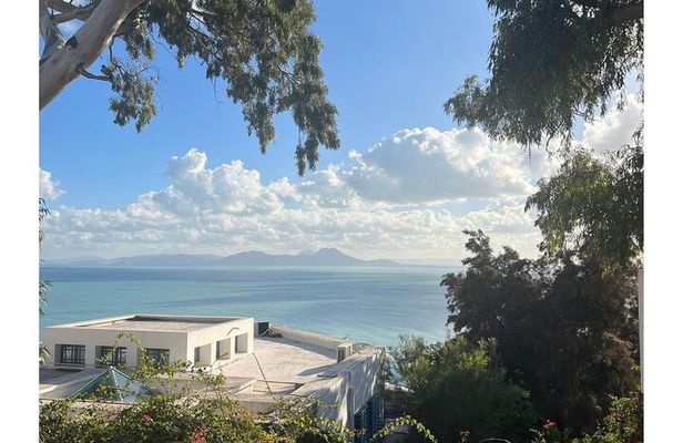 VIP Tour: Tunis Medina/Bardo, Sidi Bou Said, Carthage |PICKUP ALL