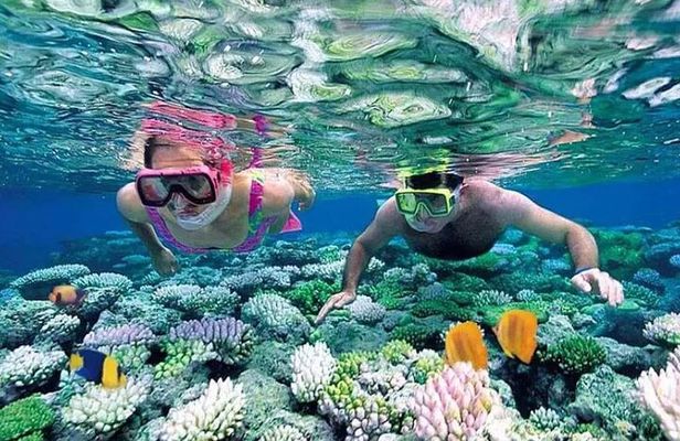 Trekking and Snorkeling in Nhơn Lý