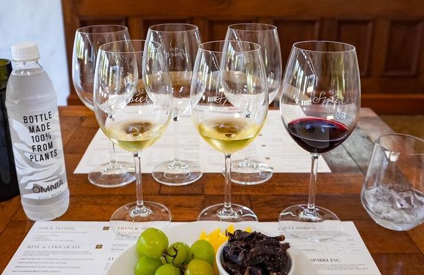 Cape Winelands group tour