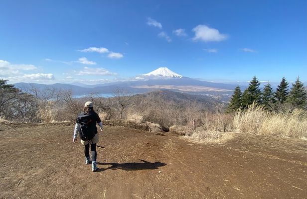 Private Hiking Tour to View Mt. Fuji
