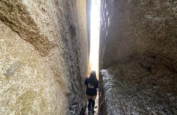 Private Hiking Tour to View Mt. Fuji