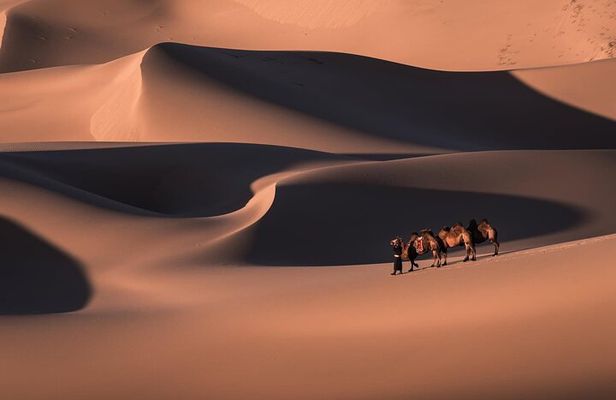 6 Days Gobi Desert Tour with complimentary airport pickup