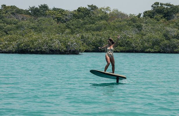 Cartagena Efoil FliteBoard Experience in Baru 1H