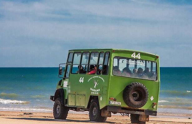 Doñana 4x4 and El Rocío Tour