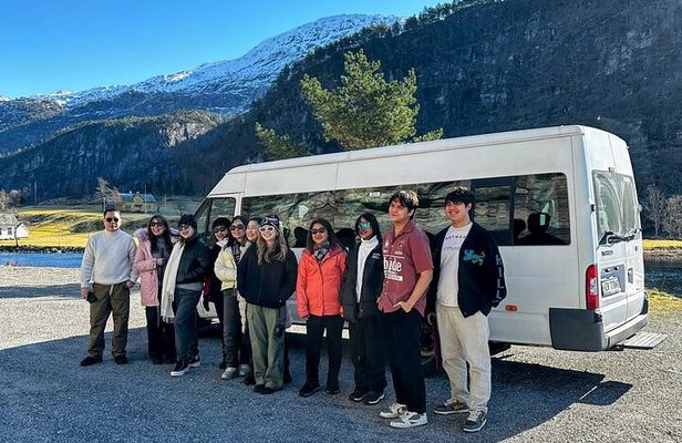 Bergen Golden Circle Fjortour by Minibus