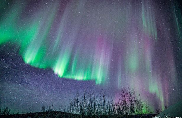 Capturing the Ethereal Beauty: Northern Lights Photo Workshop