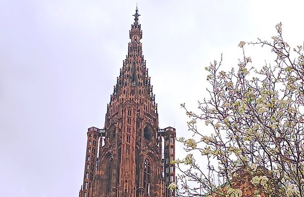 Guided Tours of Strasbourg Cathedral
