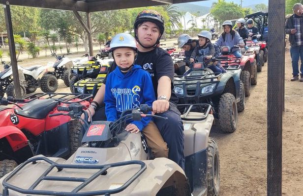 Shore Excursion Ensenada: ATV + Taco & Bufadora options