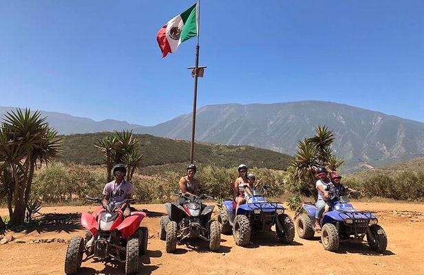ATV Off Road Adventure Shore Excursion With a Taco Stop