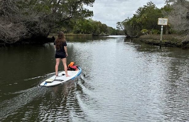 Backland Alligator Electric Paddle Tour
