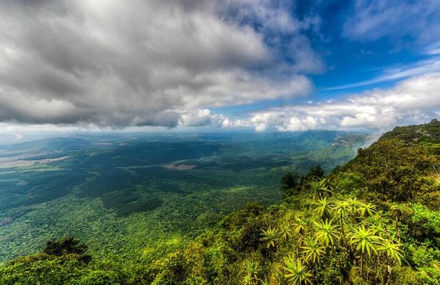 From Hazyview- Full Day Panoramic Tour