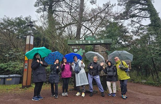 Jeju Private Half-Day Tour for Cruise Customers