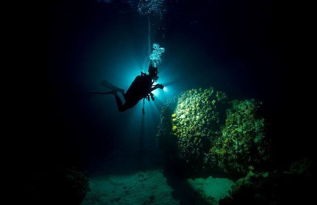 Night dive at Tugboat Beach in Curacao