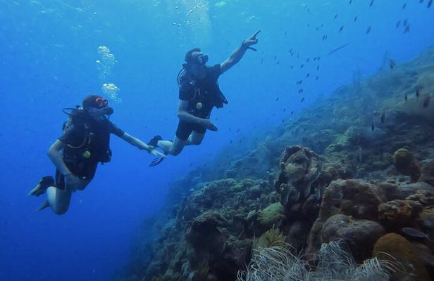 PADI Open Water Course in 3 days