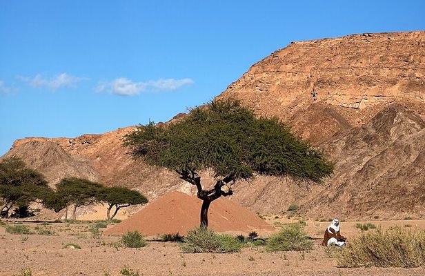 Sinai Valleys One Day Hiking Tour with Guide