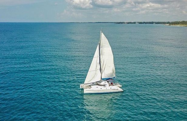 Saona Snorkel Private Cruise with Food and Drinks